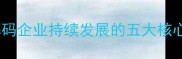 百尺竿头更进一步解码企业持续发展的五大核心策略附实战案例