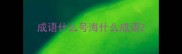 成语什么号海什么成语