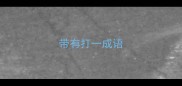 带有打一成语