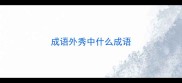 成语外秀中什么成语