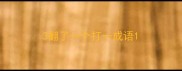 3翻了一个打一成语
