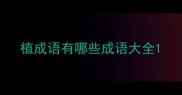 植成语有哪些成语大全