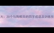 狗狗行为大20个与狗相关的四字成语及训练技巧附