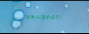 胜利在望的成语