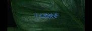 十七的成语