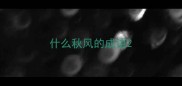 什么秋风的成语