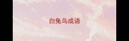 白兔乌成语