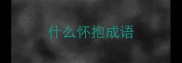 什么怀抱成语