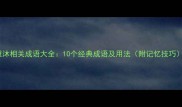 冠沐相关成语大全10个经典成语及用法附记忆技巧