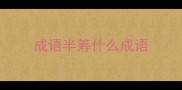 成语半筹什么成语