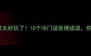 成语谐音梗可太好玩了10个冷门谐音梗成语你听过几个