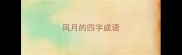 风月的四字成语