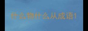 什么物什么从成语