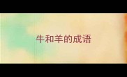 牛和羊的成语