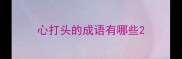 心打头的成语有哪些