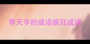 带天字的成语疯狂成语