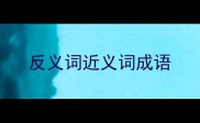 反义词近义词成语