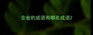 含省的成语有哪些成语