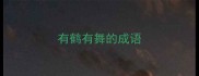 有鹤有舞的成语