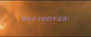 带有手字的四字成语