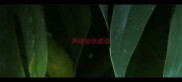 声纸欲信成语