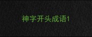 神字开头成语