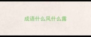 成语什么风什么露