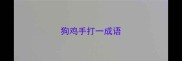 狗鸡手打一成语