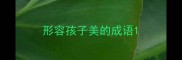 形容孩子美的成语
