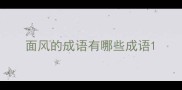 面风的成语有哪些成语