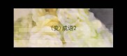 变成语