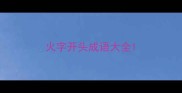 火字开头成语大全