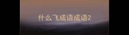什么飞成语成语