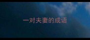 一对夫妻的成语