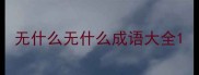 无什么无什么成语大全