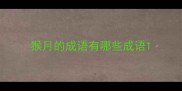猴月的成语有哪些成语