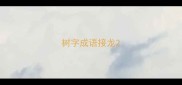 树字成语接龙