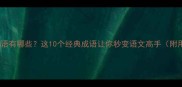 含青的成语有哪些这10个经典成语让你秒变语文高手附用法示例