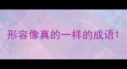 形容像真的一样的成语