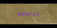 成语有什么合