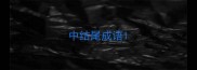 中结尾成语