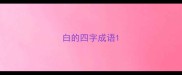 白的四字成语