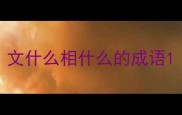 文什么相什么的成语