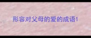 形容对父母的爱的成语