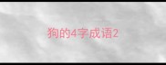 狗的4字成语