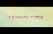 态度镇定不慌不忙的成语