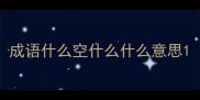 成语什么空什么什么意思