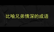 比喻兄弟情深的成语