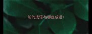 鸵的成语有哪些成语