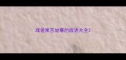 成语寓言故事的成语大全